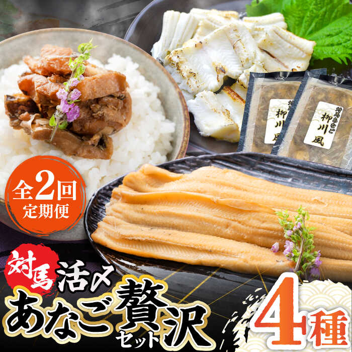 【ふるさと納税】【全2回定期便】対馬産 あなご 贅沢 セット 《対馬市》【対馬地域商社】九州 長崎 煮あなご 佃煮 アナゴ[WAC054]