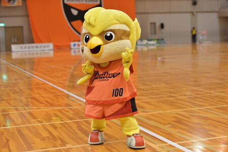 【11月8日開催】シュライカー大阪ホームゲーム （岸和田市総合体育館） 観戦チケット 2名分＋【グッズ】サイン入りTシャツ2着付き Fリーグ フットサルチケット