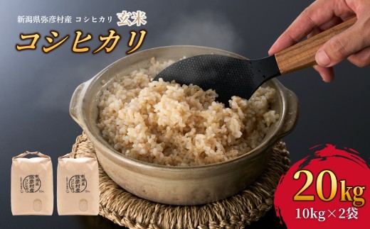 令和8年産 新米 先行予約 コシヒカリ 新潟 玄米 20kg | 新潟県産 こしひかり お米 米 20キロ 備蓄 こめ コメ ギフト げんまい 新潟産コシヒカリ 新潟県産コシヒカリ 新潟県産こしひかり 農家直送 新潟県 弥彦村 石井農園