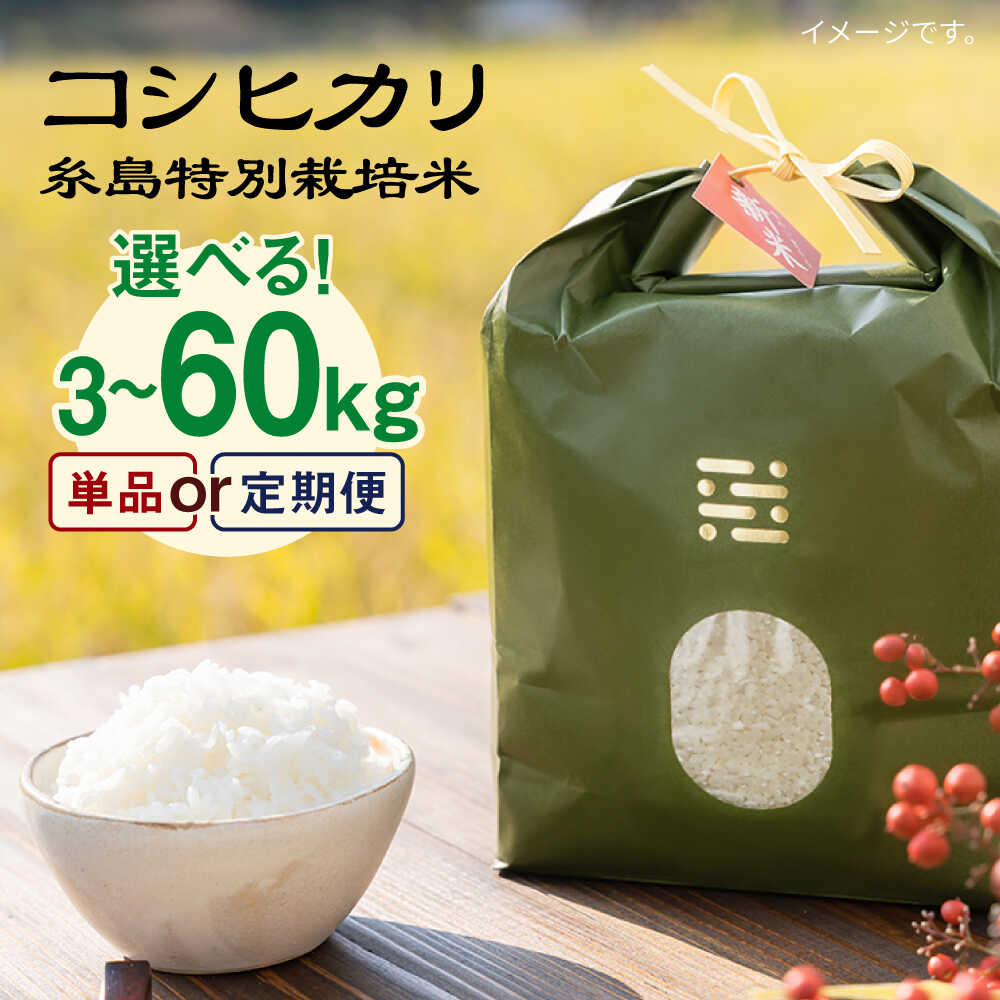 【ふるさと納税】【選べるキロ数・回数 】糸島特別栽培米コシヒカリ 3kg/5kg 《糸島》【itoshimacco《(株)やました》】 [ARJ021] 常温 いとしまっこ 15000円 1万5千円
