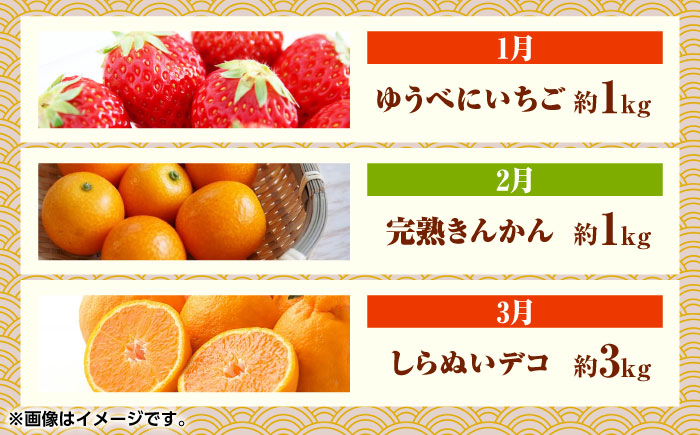 フルーツ10ヶ月定期便　【10月～7月】　【くまふる】 [ZBG078]