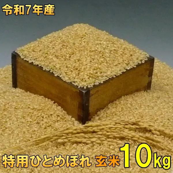 数量限定 令和7年産 岩手県奥州市産 特用ひとめぼれ 玄米 10kg 生活応援 緊急支援 [AC040]