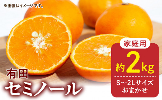 DZ6101_【2026年先行予約】ご家庭用 セミノール 和歌山 有田 S～2Lサイズ 大きさお任せ 約2kg