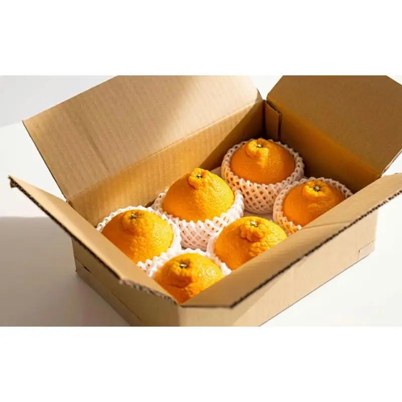 【先行予約】希少な樹上完熟　しらぬい（不知火） 秀品大玉 約2kg(6個) 2027年2月末～2027年3月末頃に順次発送予定（お届け日指定不可）/ 和歌山 みかん しらぬい 不知火 【kiy001A