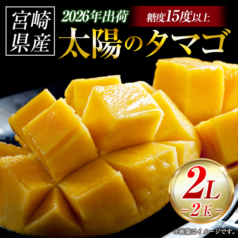 【2026年発送 先行予約】完熟マンゴー「太陽のタマゴ」 2L×2玉（フルーツ マンゴー 完熟マンゴー アップルマンゴー 果物 くだもの 先行受付 2026 令和8年 宮崎） ２L×２玉