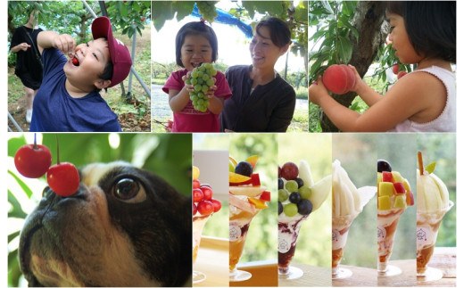 08-03-070　王将果樹園&カフェ体験プラン