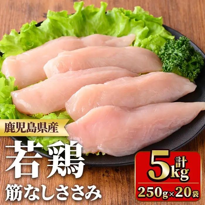 鹿児島県産若鶏筋なしささみ(計5kg・250g×20袋) 国産 九州産 鹿児島県産 鶏肉 鳥肉 鶏 とり 若鶏 冷凍 ささみ ササミ 筋なし 小分け 真空 【TRINITY】_y534