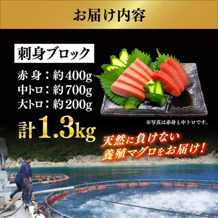 冷蔵！生本マグロ 赤身 中トロ 大トロ 計約1.3kg マグロ まぐろ 鮪 刺身 五島列島産養殖 [RBN014] 本マグロ 本まぐろ 本マグロ 本まぐろ 本マグロ 本まぐろ九州 長崎