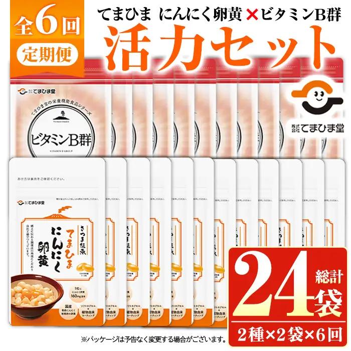 No.1298-B ＜定期便・全6回(隔月)＞活力セット(てまひま にんにく卵黄・ビタミンB群/各2袋×6回 計24袋) 鹿児島 日置市 ニンニク 健康食品 加工食品 栄養 元気 有精卵 カプセル 手軽に 安全安心【てまひま堂】