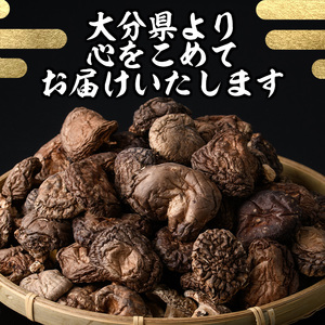 豊後きのこカレ－(180g×10個)レトルトカレー 椎茸 どんこ 温めるだけ【st008】【大分県椎茸農業協同組合】
