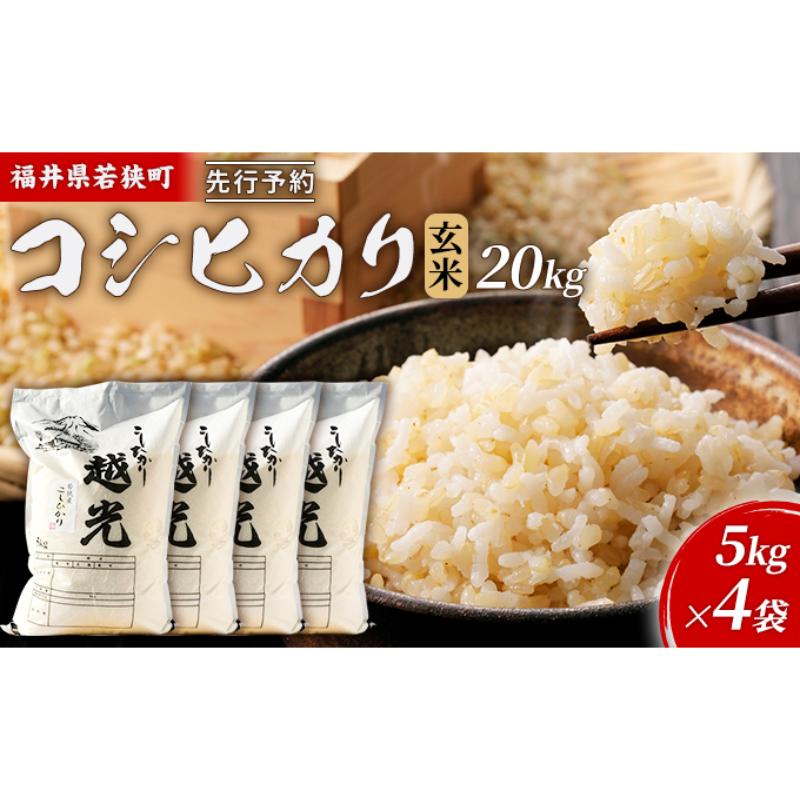 【ふるさと納税】【11月お届け】先行新米若狭町コシヒカリ玄米20kg 米 お米 こしひかり 福井県　お届け：2026年11月上旬～下旬