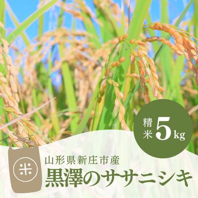 ふるさと納税 新庄市 令和8年産 黒澤のササニシキ 5kg 精米