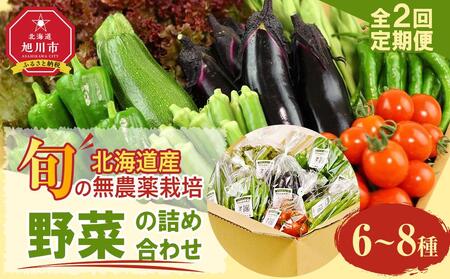 7・8月　計2回定期便　北海道産旬の無農薬栽培　野菜の詰め合わせ6～8種類  | 野菜詰め合わせ 野菜詰め合わせ 野菜詰め合わせ 野菜詰め合わせ 野菜詰め合わせ 定期便 定期便 定期便 定期便 定期便 _04700
