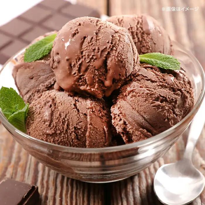 チョコレートアイスクリーム 12個入 アイス / アイス アイスクリーム カップアイス 冷凍 チョコ チョコレート カカオ 濃厚 ベルギー産 詰め合わせ セット デザート スイーツ おやつ 高知 アイ