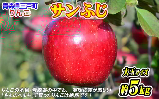 りんご【サンふじ】約5kg（12～14玉・大玉サイズ）【2025年産・先行予約】★2025年12月上旬～12月下旬頃発送予定★ 青森県三戸町産