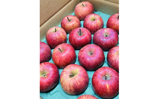 りんご（サンふじ）５ｋｇ　１２～２０個　秀品　0065-2511