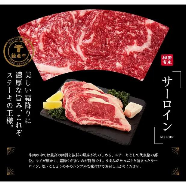 但馬牛経産牛「サーロインステーキ」200ｇ×3枚　020AA02N.／黒毛和牛 ステーキ肉 いちかわ精肉店 経産牛 牛肉 国産 bbq バーベキュー 焼肉 ステーキ サーロイン 赤身 肉 冷凍 焼き肉