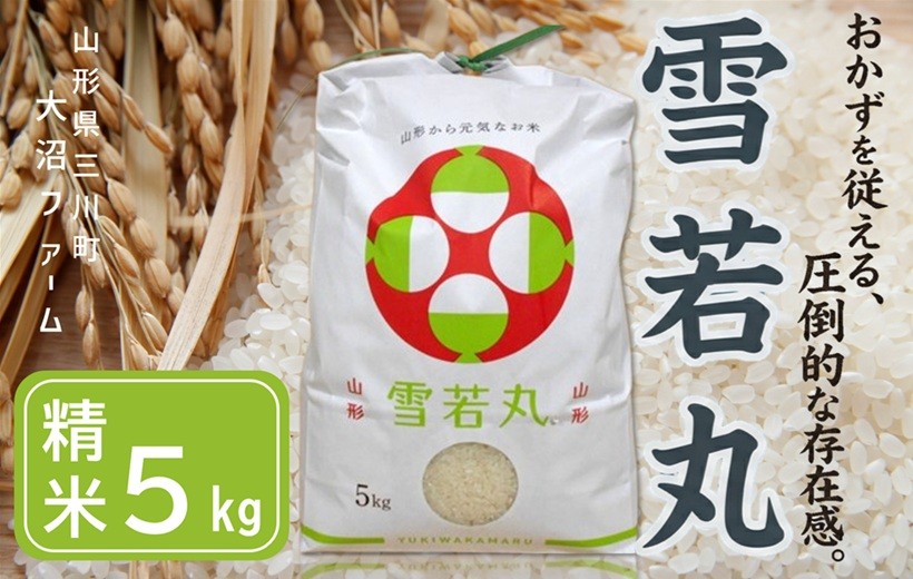 
                  【令和8年産・精米】大沼ファームの雪若丸5kg　※10月中旬頃から順次配送　
                