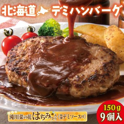 ふるさと納税 滝川市 北海道デミハンバーグ1食200g 9セット 北海道 冷凍 個包装 小分け