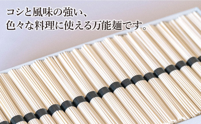 【 定期便 年6回】手延べ うどん 3kg （50g×60束）  / 麺 乾麺 / 南島原市 / 池田製麺工房 [SDA045]