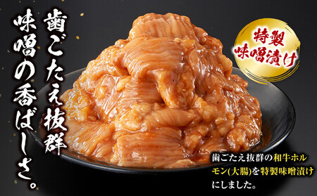＜訳アリ＞和牛ホルモン（大腸）　特製味噌漬け　1.5kg(300g×5）【2026年7月発送】