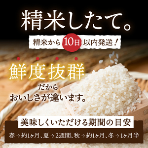 3人に1人がリピーター!☆全2回定期便☆ 岩手ふるさと米 10kg(5㎏×2)×2ヶ月 令和7年産 一等米ひとめぼれ 東北有数のお米の産地 岩手県奥州市産【配送時期に関する変更不可】 [U0161]