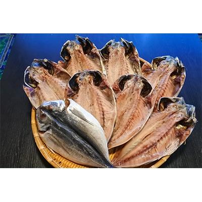 ふるさと納税 唐津市 おさかな村”厳選大あじ干物”8枚セット(約1,800g)