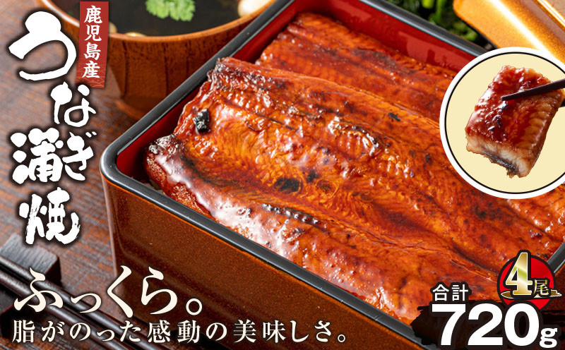 
2447 鹿児島産うなぎ180g×4尾 合計720g
