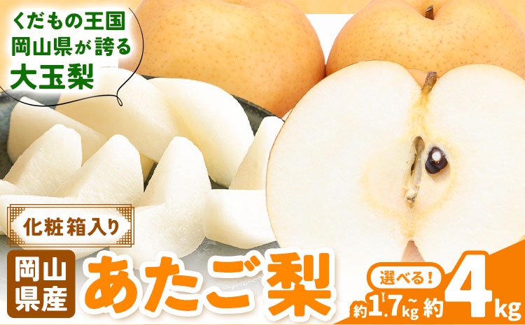 【2026年先行予約】あたご梨 選べる内容量 約1.7kg (2玉) 約4kg (3-6玉) 化粧箱入り 株式会社山博《11月下旬-12月下旬頃出荷》岡山県 笠岡市 なし 梨 ナシ 愛宕梨 果物 大玉 岡山県産 国産 送料無料【配送不可地域あり】---Y-37a---