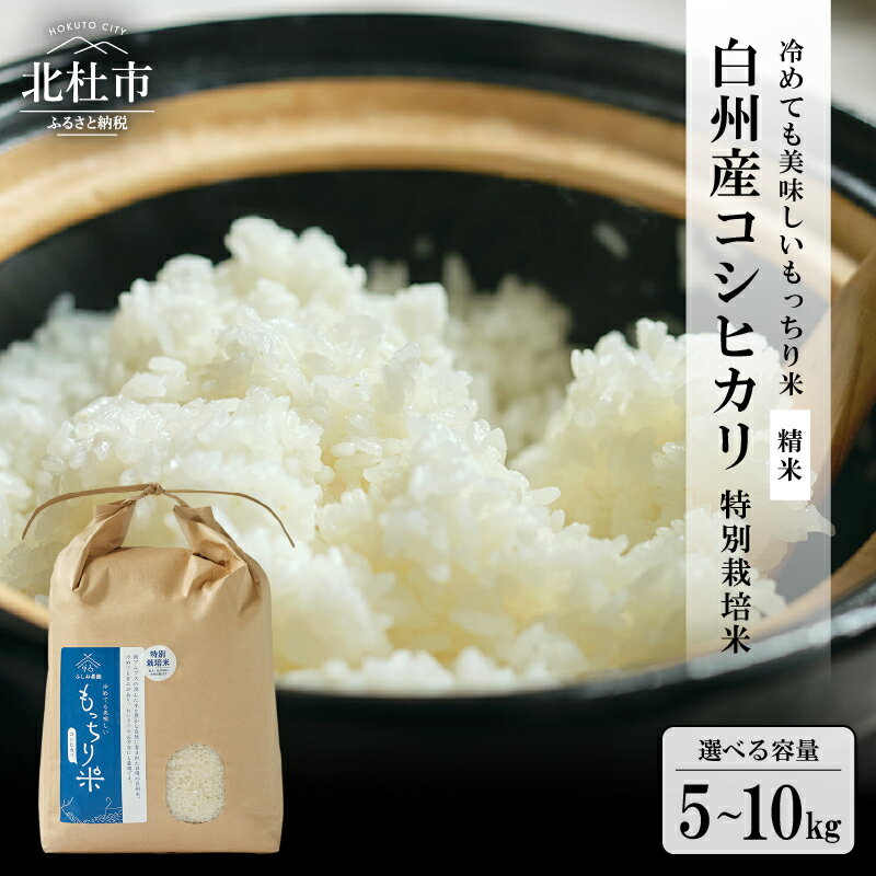 【ふるさと納税】 米 コシヒカリ 新米 白米 精米 令和7年度米 選べる容量 5kg 6kg 10kg 山梨県産 白州産 精米 もっちり米 特別栽培米 甘み 貴重 もちもち おにぎり お弁当 令和7年度新米 送料無料