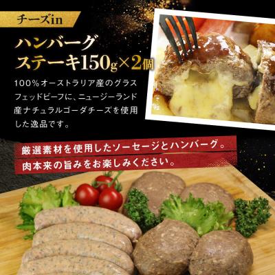 ふるさと納税 名古屋市 ミートガイ手作り生ソーセージ&手作りプレーンハンバーグ&手作りチーズハンバーグセット |  | 02