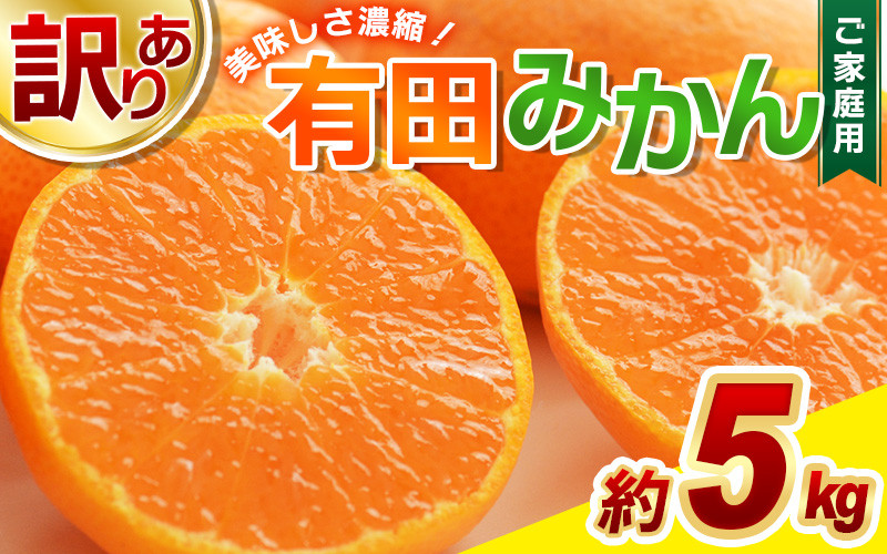 
            【訳あり】農家直送 有田みかん 約5kg ご家庭用 サイズ混合 ※2025年11月中旬より順次発送予定（お届け日指定不可）※北海道・沖縄・離島への配送不可 訳ありみかん みかん ミカン 蜜柑 柑橘 フルーツ 果物 くだもの 温州みかんサイズ混合 訳ありみかん 温州みかん 有機質肥料100% ふるさと納税 柑橘 有田 産地直送【nuk161C】
          
