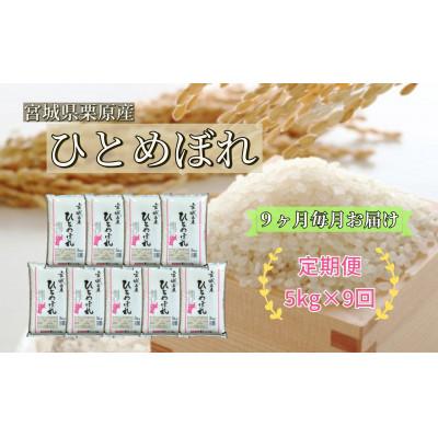 ふるさと納税 栗原市 【毎月定期便】ひとめぼれ白米5kg 宮城県栗原産全9回