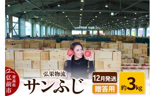 【25年12月発送】りんご 贈答用 サンふじ 約3kg