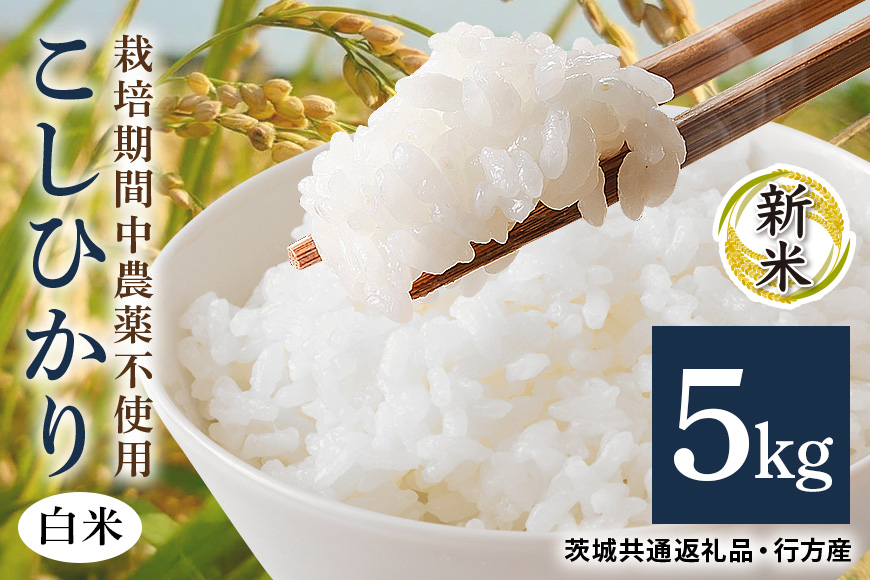 
            令和7年産新米 白米 5kg 栽培期間中農薬不使用 こしひかり 茨城県産 米 お米 コメ ご飯 コシヒカリ 食味豊か 甘み 旨み 冷めても 美味しい お弁当 向け 食卓常備 産地直送 茨城県 潮来市 ＜茨城県共通返礼品・行方市産＞ (A03-014)
          