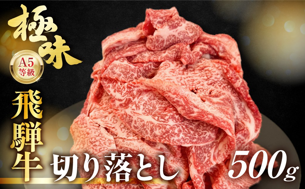 
                  飛騨牛 A5等級 切り落とし 500g | 小間切れ A5ランク A5 5等級 肉 黒毛和牛 ブランド牛 発送時期が選べる 飛騨高山 ながせ食品 FH025VP
                