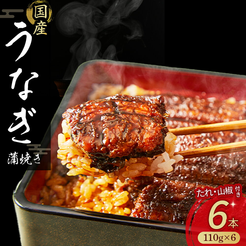 【ふるさと納税】 うなぎ 蒲焼き セット 660g (110gx6本) たれ 山椒 入り 小分け 惣菜 国産 冷凍 名店 うな重 ひつまぶし タレ付き 山椒付き ギフト（お歳暮/お正月）高級　お取り寄せ グルメ Esu-125