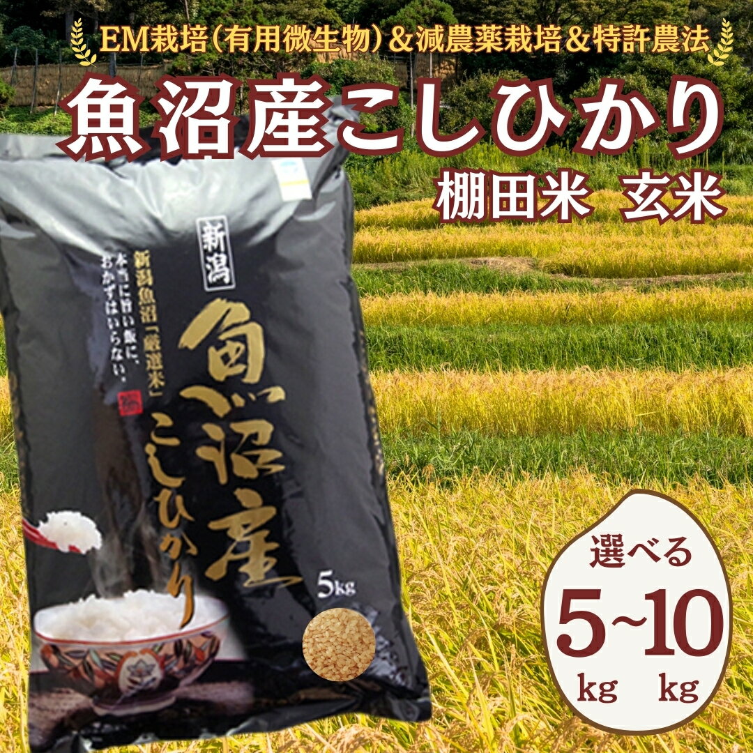 【ふるさと納税】【令和7年産】魚沼産コシヒカリ棚田米 玄米 選べる容量 5kg 10kg 佐藤農場 | 新潟県産 コシヒカリ お米 米 おこめ こめ コメ こしひかり 魚沼産 ブランド米 産地直送 【0018-sn01sv00-01】