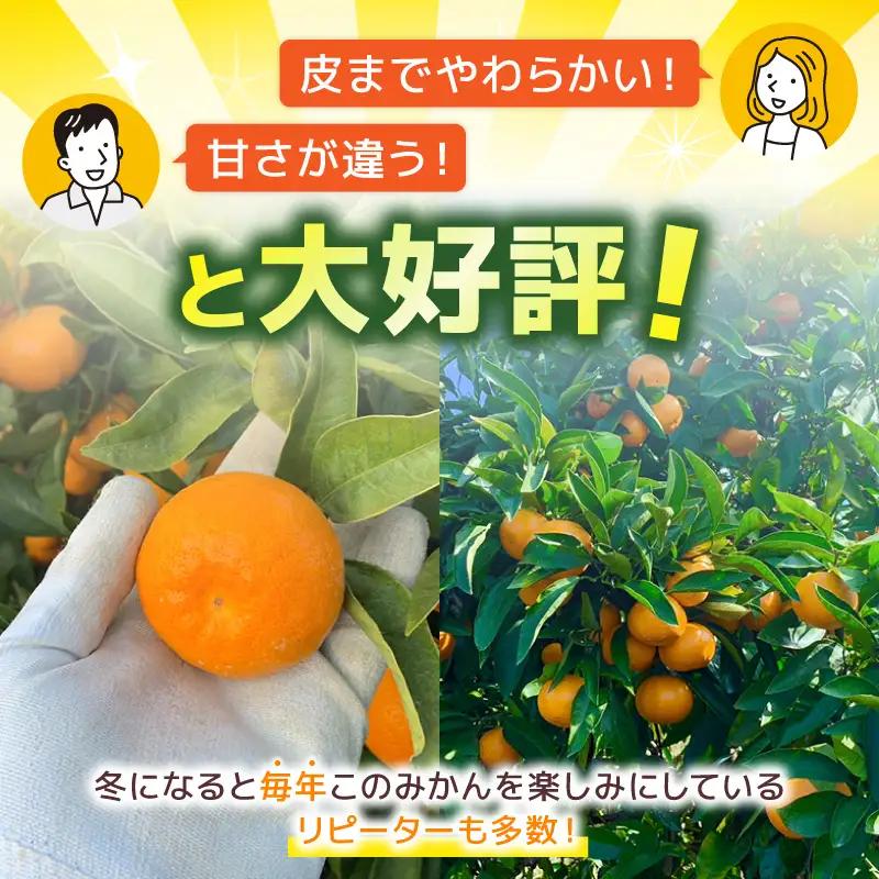 とろけるみかん 安田町 生まれ はっとり育ち とろけるみかん 5kg 5キロ Mサイズ HT-14