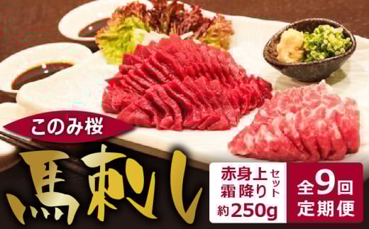 このみ桜　馬刺し　赤身上・霜降りセット　9回定期便_Tk037