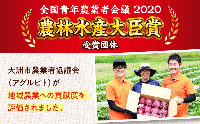 【全6回定期便】生産者の顔が見えるから安心して食べられる！毎回ちがう旬の農産物定期便　愛媛県大洲市/大洲市青年農業者協議会 [AGBL001]サラダ カレー 料理 収穫 ダイエット ヘルシー ブロッコ