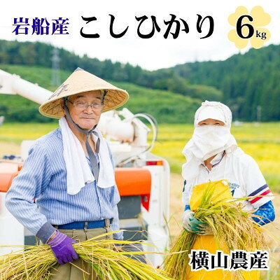 【ふるさと納税】R8年産 関川村産こしひかり 精米6kg(2kg×3袋) ふっくら美味しさ 岩船米 [横山農産]_ 白米 国産米 高品質 ごはん 美味しい 人気 おすすめ 送料無料 【1347088】
