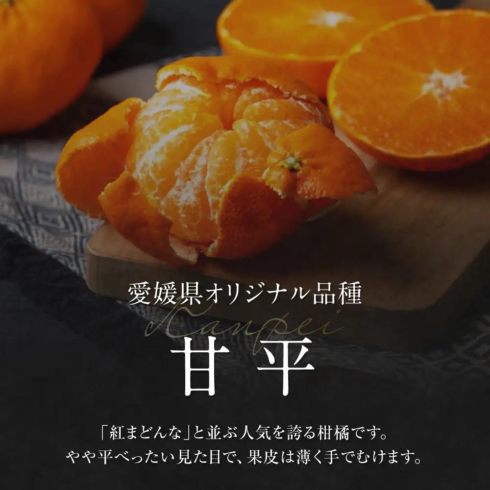 紅まどんな【全2回定期便】紅まどんな＆甘平 約3kgずつ[AGAO013]