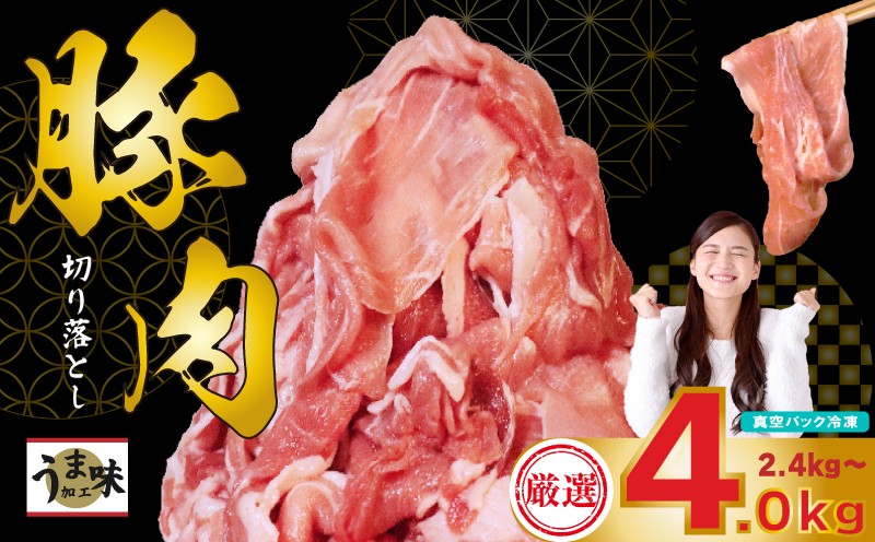 
                  豚肉 切り落とし 2.4kg～4kg 冷凍 真空 小分け ぶたにく 豚 豚肉 人気豚肉 おすすめ豚肉 美味しい豚肉 豚肉料理 ぶた ぶた肉 豚肉生姜焼き ブタ ランキング豚 豚 国産豚肉 美味しいブタ ブタニク ブタ屋 ブタ肉 豚料理 ブタ料理 ぶたやき ぶた御膳 豚コース 豚肉料理 豚小間切れ ぶた汁 豚汁 ぶたの切り落とし 豚飼育 冷凍豚 小分け豚 訳あり しゃぶしゃぶ豚 BBQ 福岡 川崎
                