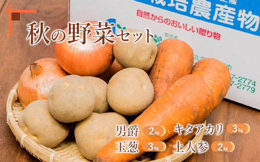 【先行予約】秋の野菜4品セット【31000603】