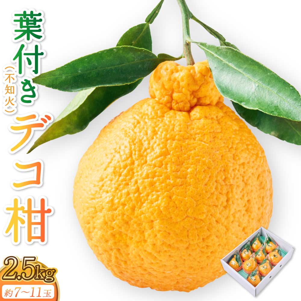 【ふるさと納税】 果実の宝箱葉付きデコ柑（不知火）約2.5kg 7玉〜11玉 田辺農園 【2025年3月上旬から5月上旬発送予定】