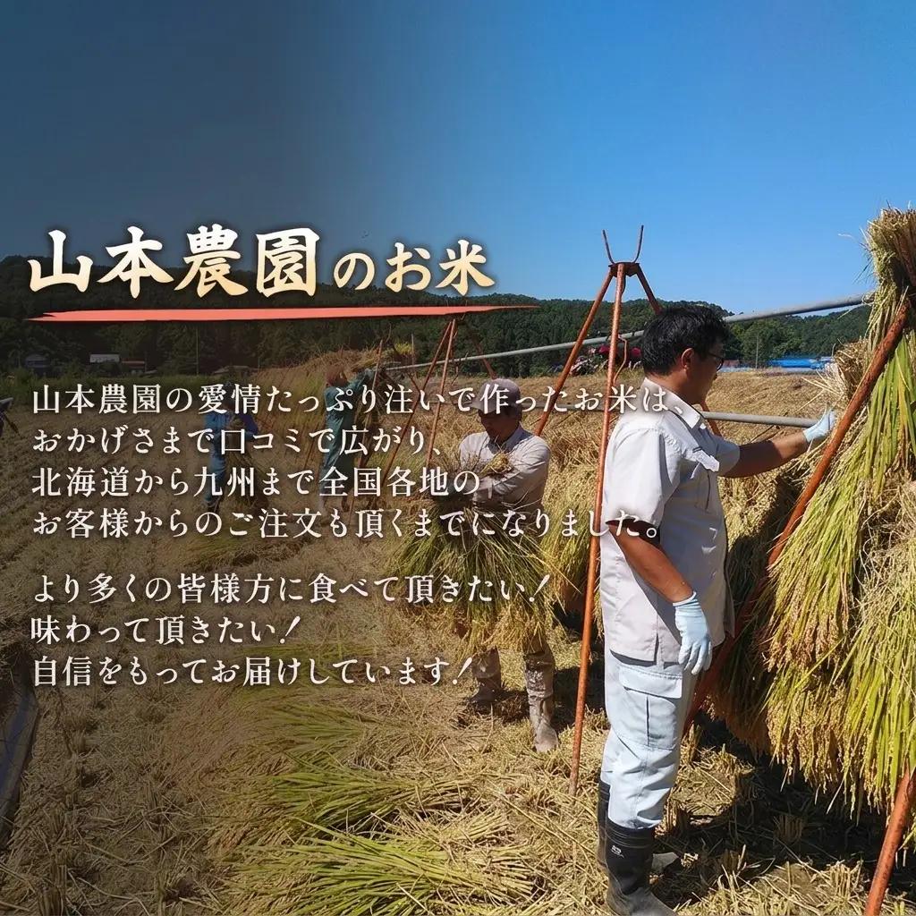 コシヒカリ 5㎏ 特別栽培米 新潟県 上越産 コシヒカリ