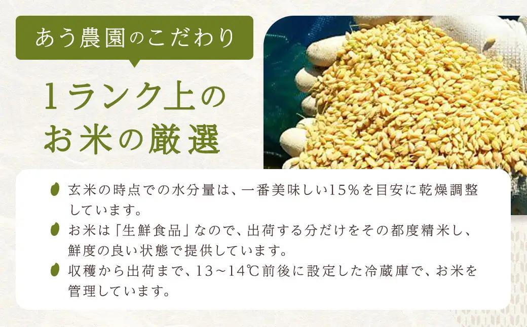 【令和7年産】 ひめの凜プレミアム＆自然環境米 鬼北のせせらぎ（コシヒカリ） 各5kg 計10kg コシヒカリ ひめの凜プレミアム 鬼北のせせらぎ 米 お米 ご飯 飯 愛媛県【えひめの町（超）推し！（
