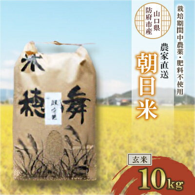 【ふるさと納税】栽培期間中農薬・肥料不使用で作った朝日米　玄米10kg_ 米 朝日米 こめ お米 おこめ コメ 玄米 げんまい 10kg ごはん ご飯 おにぎり 農薬不使用 肥料不使用 産地直送 産直 農家直送 山口県 防府市 贈答 ギフト プレゼント 送料無料 【1403841】