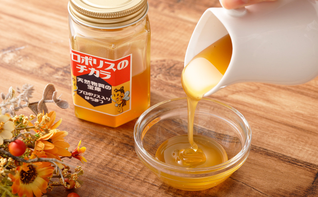 
                  プロポリスのチカラ 180g 蜂蜜 ハチミツ
                